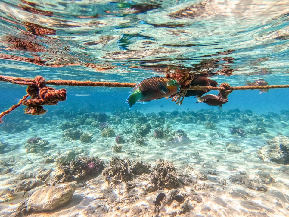 Góry i natura — Akumal Riviera Maya Hiszpania