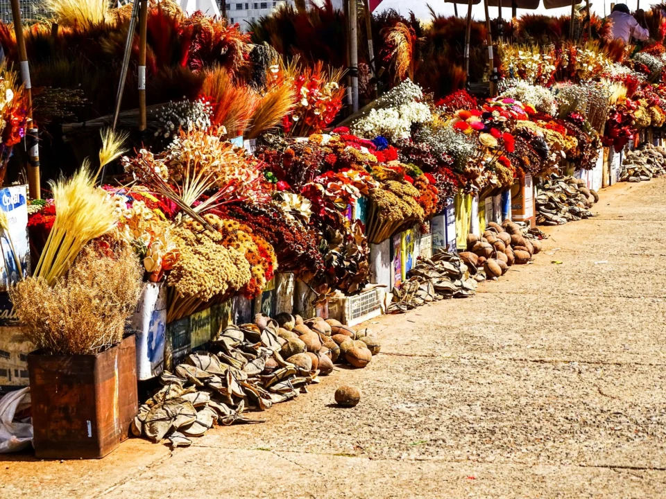 Góry i natura — Alanya Turcja