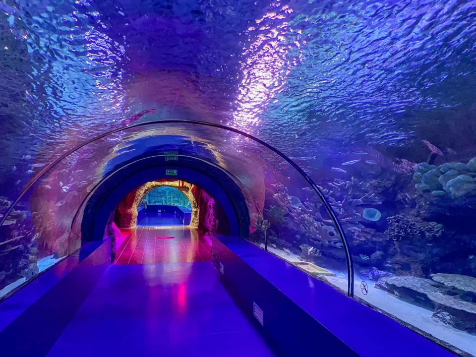 Góry i natura — Aquarium Grand Aquarium Hurghada Egipt