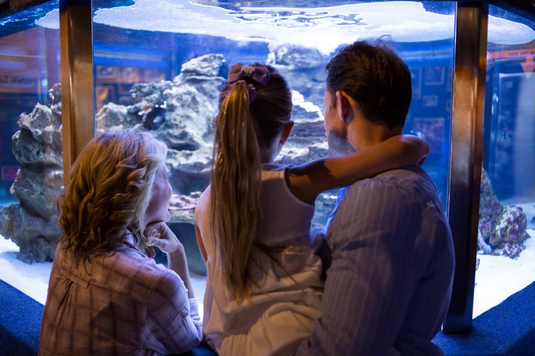 Miasto i architektura — Aquarium Grand Aquarium Hurghada Egipt