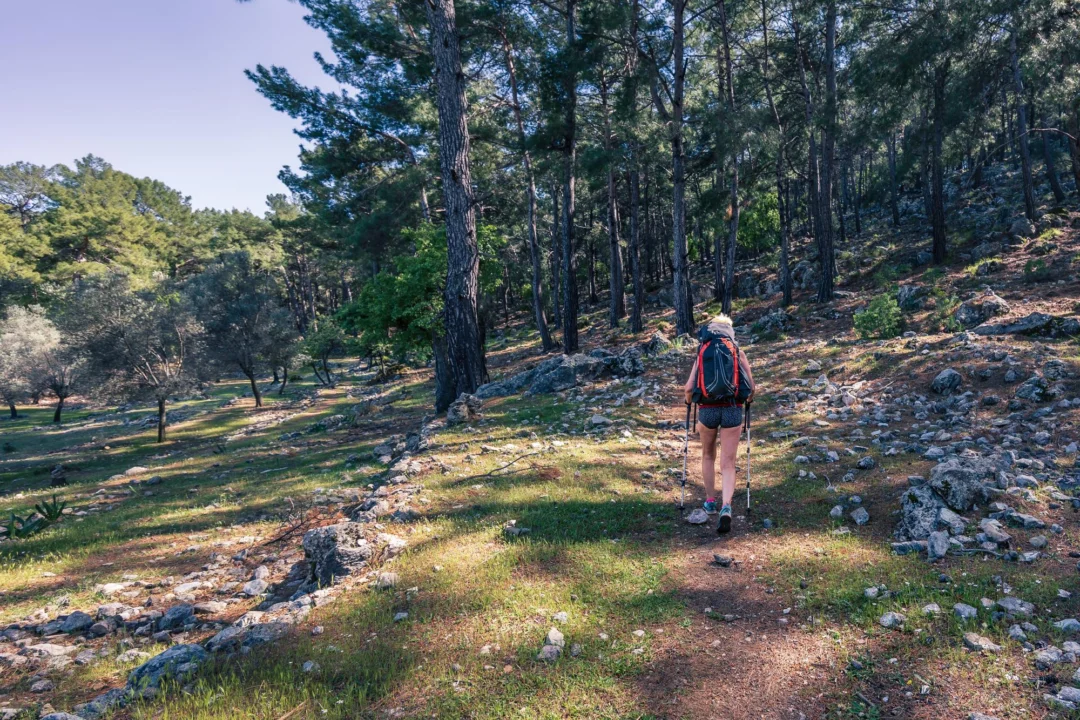 Góry i natura — Aspromonte National Park Kalabria Włochy