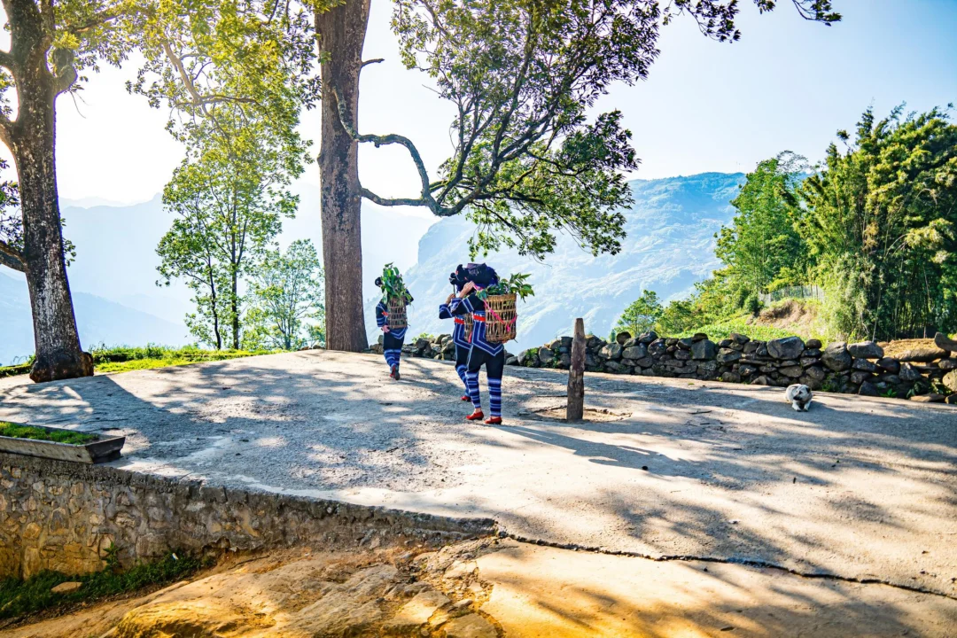 Kurort i widoki — Bergamo Lombardia Włochy