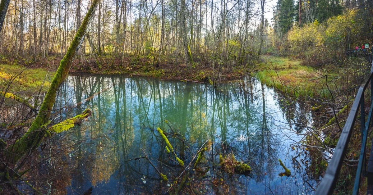 Góry i natura — Beskid Niski Polska