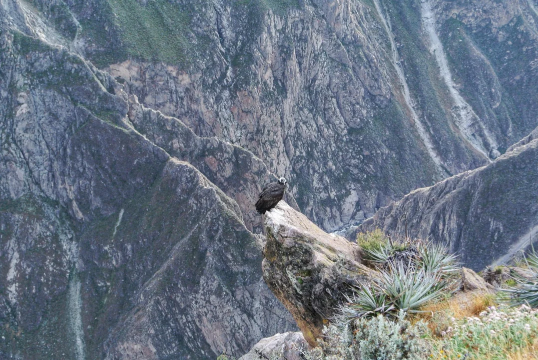 Atrakcje turystyczne — Boca de Taburiente La Palma Hiszpania