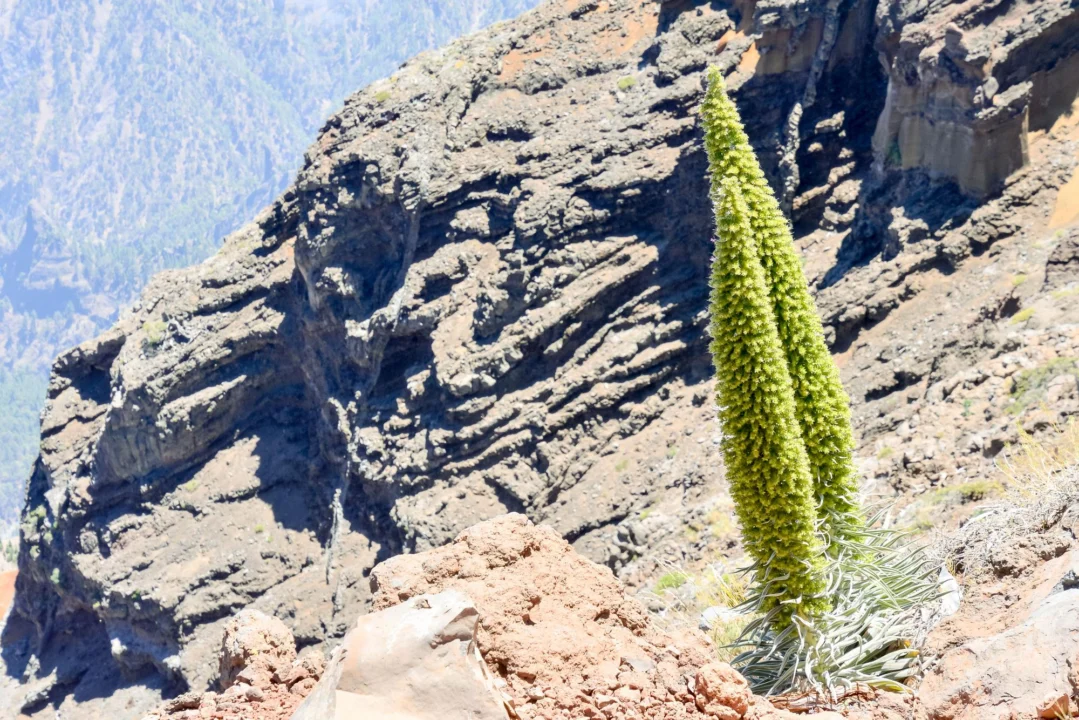 Miasto i architektura — Boca de Taburiente La Palma Hiszpania