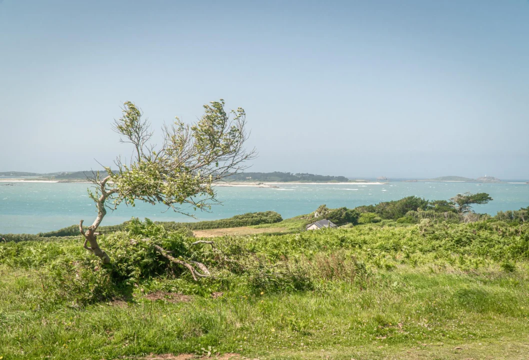 Kurort i widoki — Brijuni — archipelag parków narodowych Istria Chorwacja