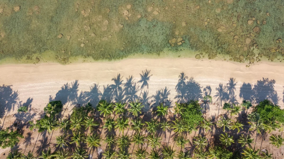 Plaża i wybrzeże — wakacje w Cacao Beach Słoneczny Brzeg Bułgaria