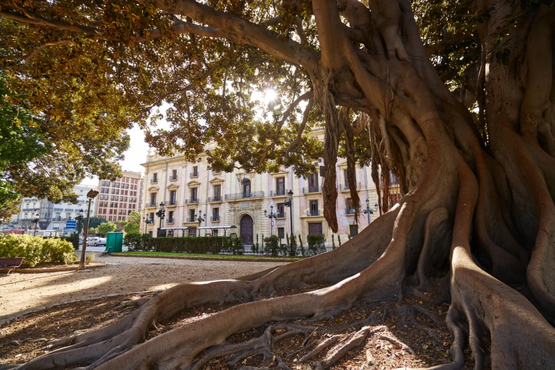 Atrakcje turystyczne — Casa de Colón La Gomera Hiszpania