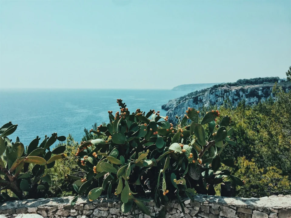 Miasto i architektura — Cascadas de la Isla de Ibiza Ibiza Hiszpania