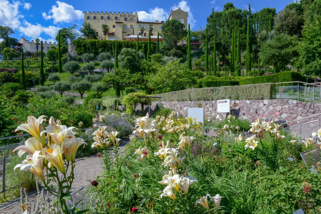 Góry i natura — Castel Thun Trentino Włochy