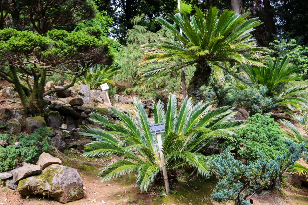 Atrakcje turystyczne — César Manrique Foundation Lanzarote Hiszpania