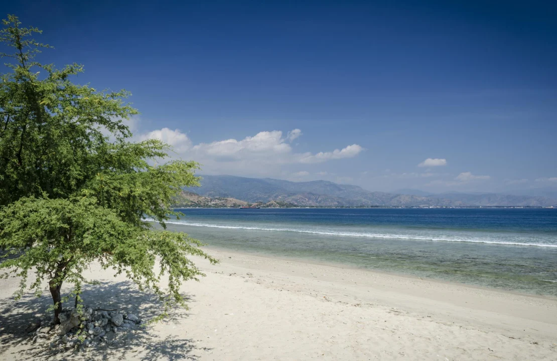 Miasto i architektura — Chalkidiki Grecja