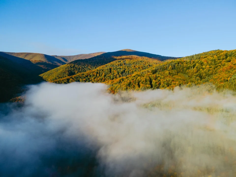 Kurort i widoki — Chata Socjologa Bieszczady Polska