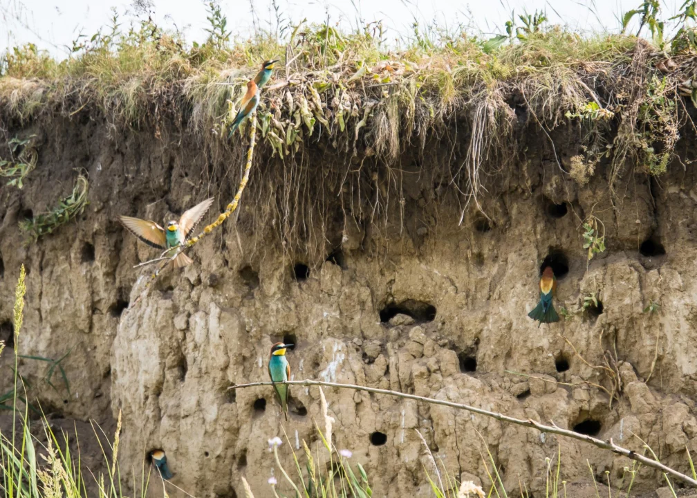 Atrakcje turystyczne — Cueva del Viento Teneryfa Hiszpania