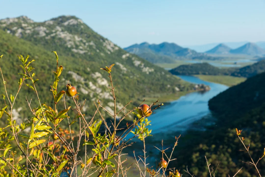Miasto i architektura — Czarnogórze