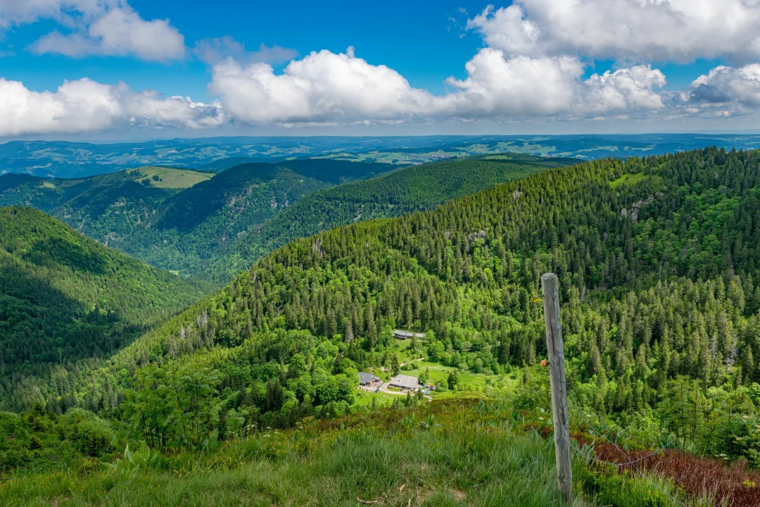 Góry i natura — Czarny Dunajec Pogórze Karpackie Polska