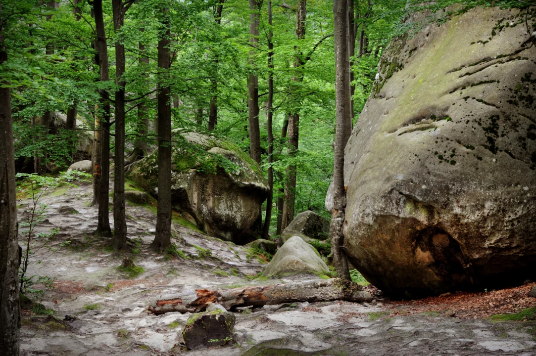 Góry i natura — Czarny Staw Wyżyna Lubelska i Roztocze Polska