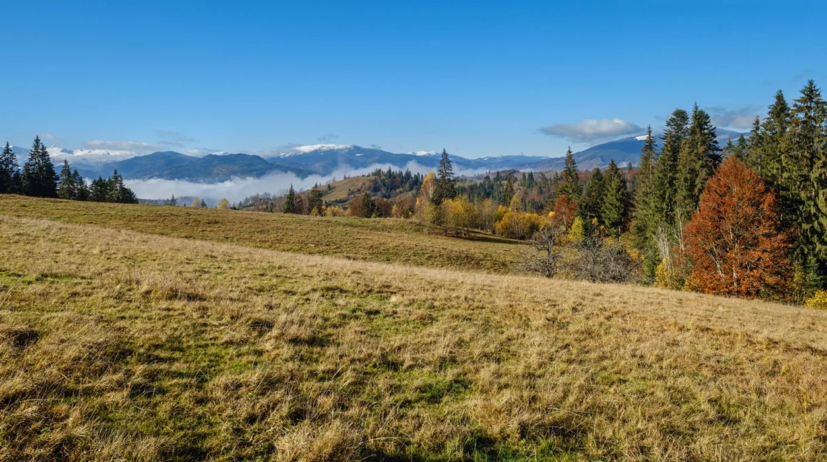 Góry i natura — Czechy Południowe Czechy