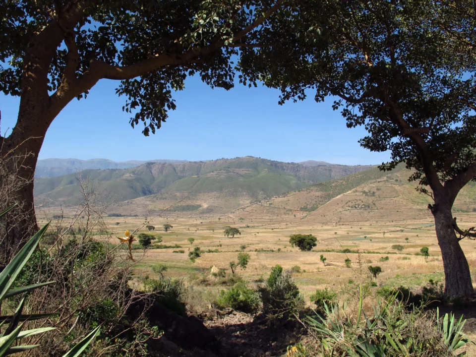 Góry i natura — Dahab Egipt