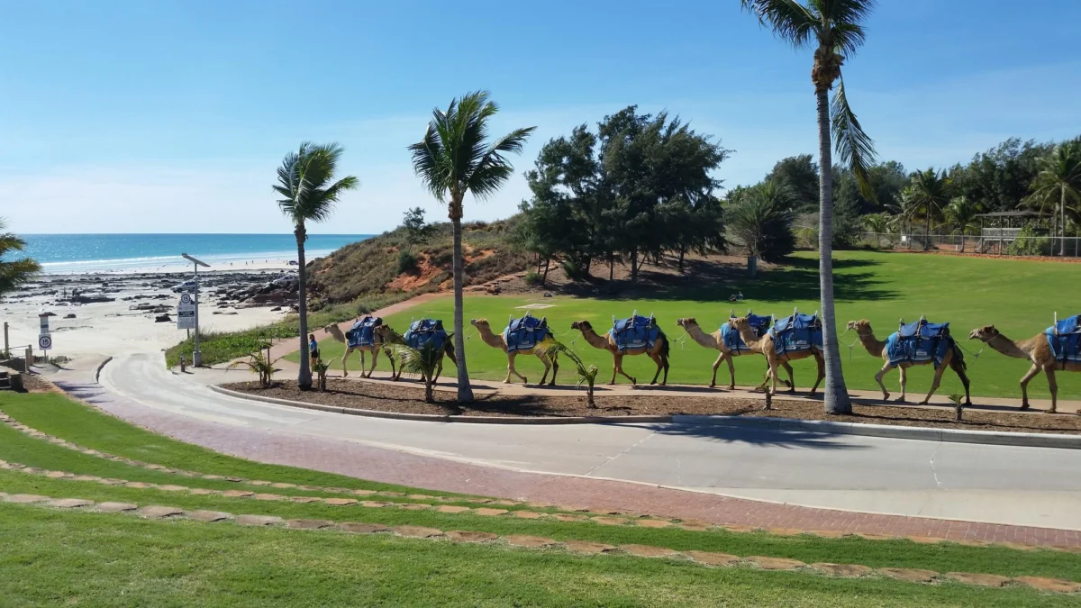 Plaża i wybrzeże — wakacje w Djerba Tunezja