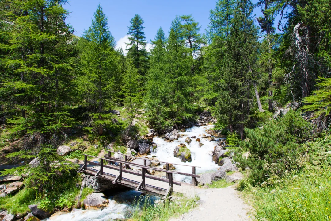 Plaża i wybrzeże — wakacje w Dolina Kościeliska Tatry i Podhale Polska