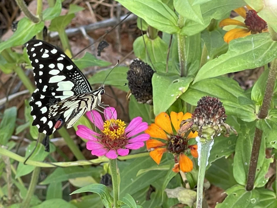 Góry i natura — Dolina Motyli Marmaris Turcja