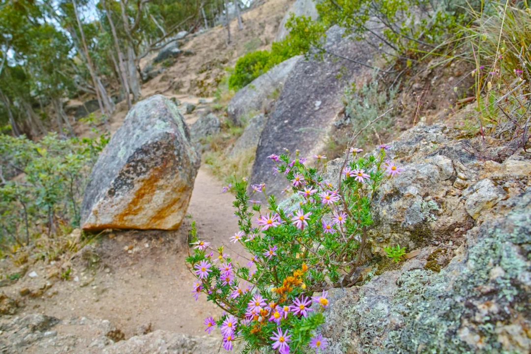 Góry i natura — Dolina Motyli Naxos Grecja