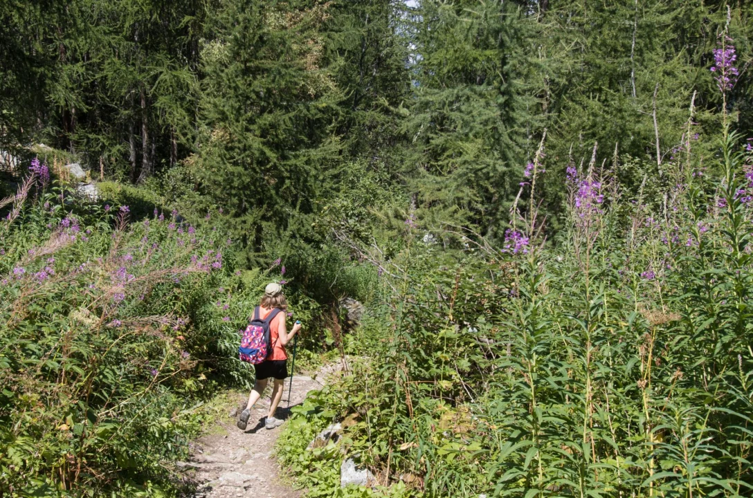 Góry i natura — Dolina Soldeu Grandvalira Andora