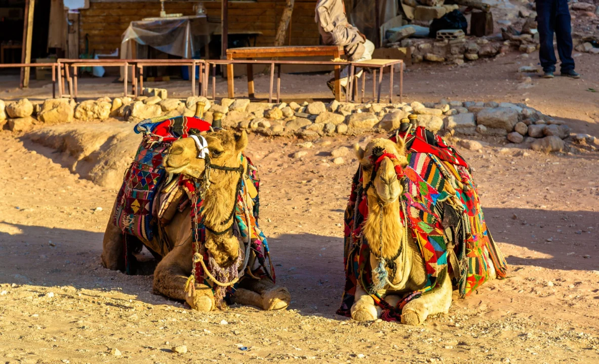 Miasto i architektura — Dzielnica El Dahar Hurghada Egipt