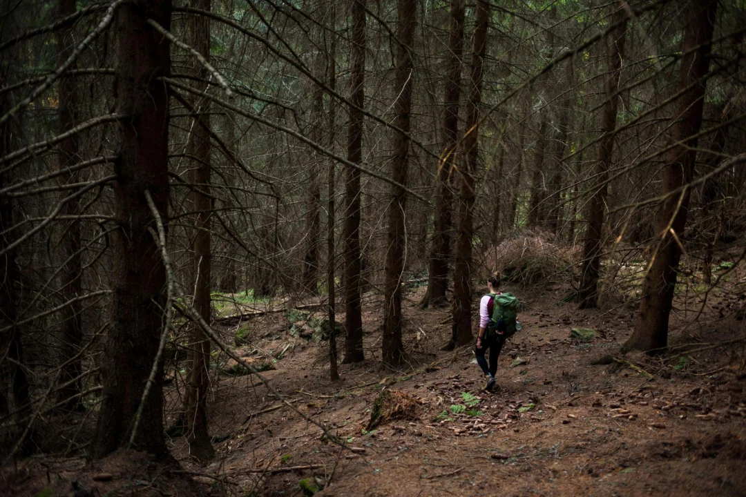 Góry i natura — Foresta Umbra Gargano Włochy