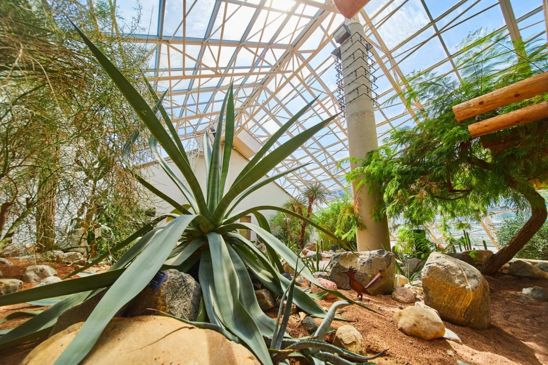 Atrakcje turystyczne — Fuerteventura Oasis Park Fuerteventura Hiszpania