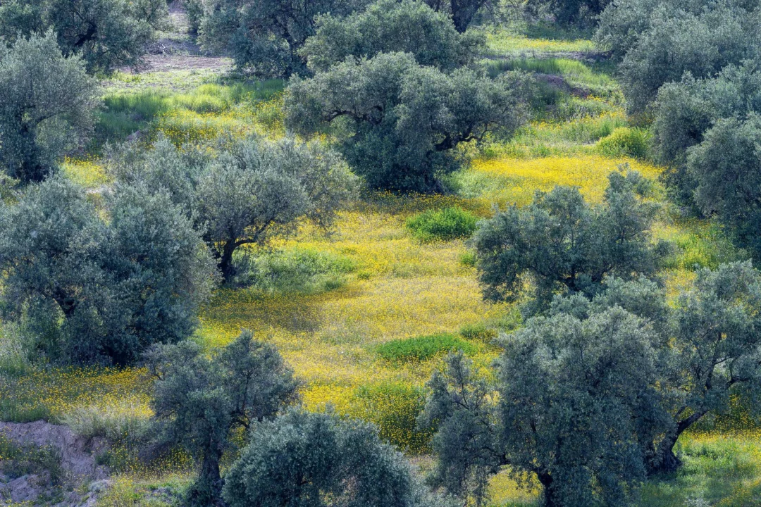 Kurort i widoki — Gargano Apulia Włochy