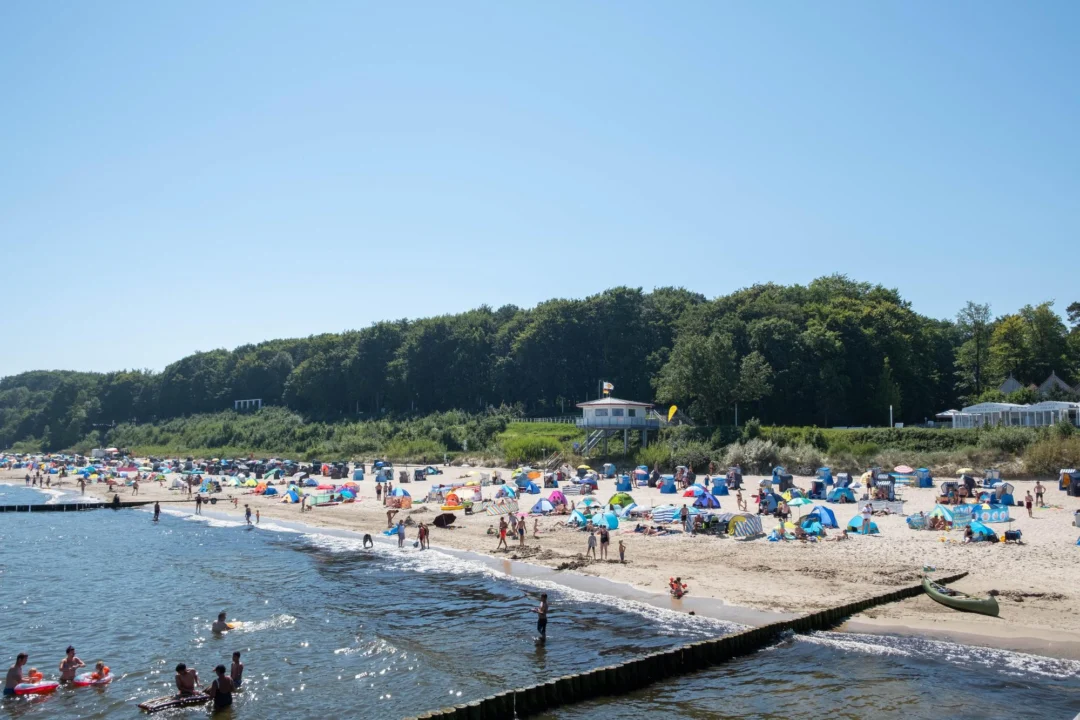 Góry i natura — Gdynia Orłowo Trójmiasto Polska