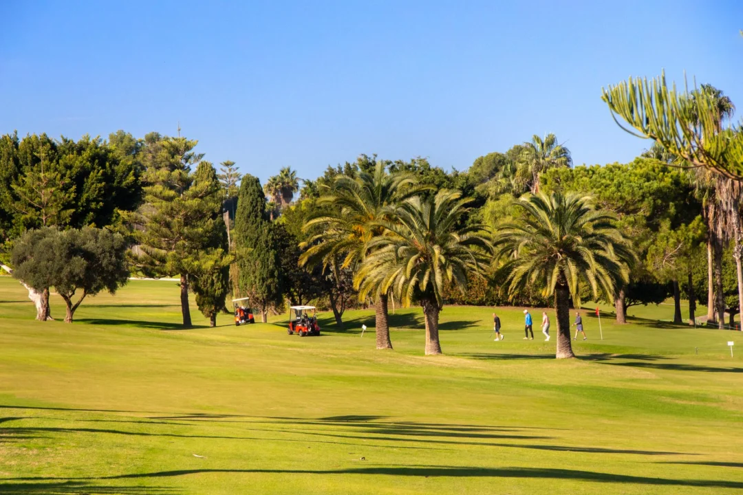Miasto i architektura — Golf Citrus Hammamet Tunezja