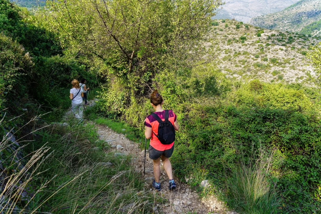 Góry i natura — Góra Dirfy Evia Grecja