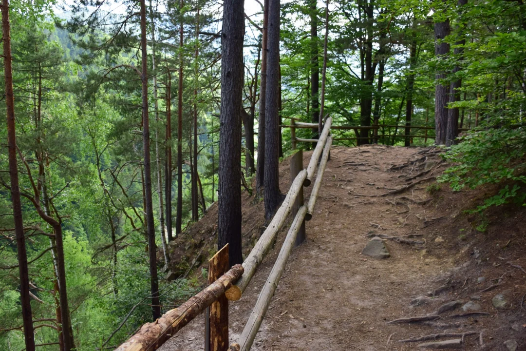 Góry i natura — Góra Kiczora Beskid Niski Polska