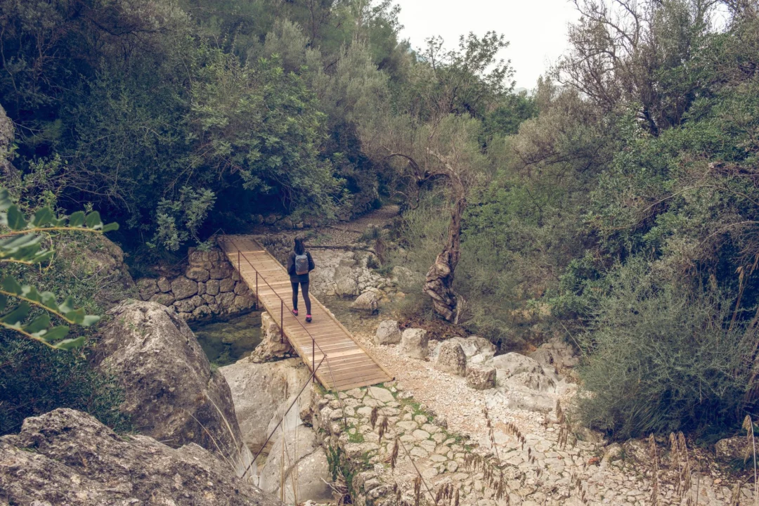 Góry i natura — Góra Olympos Pafos Cypr