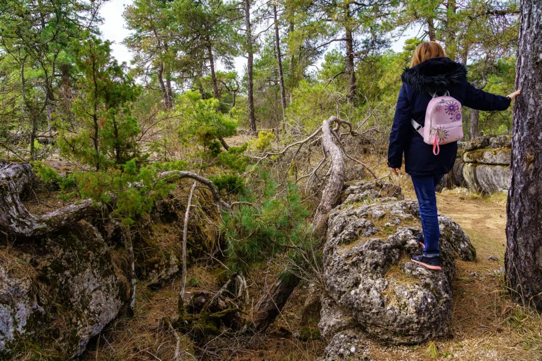 Góry i natura — Góra Profitis Ilias Karpathos Grecja