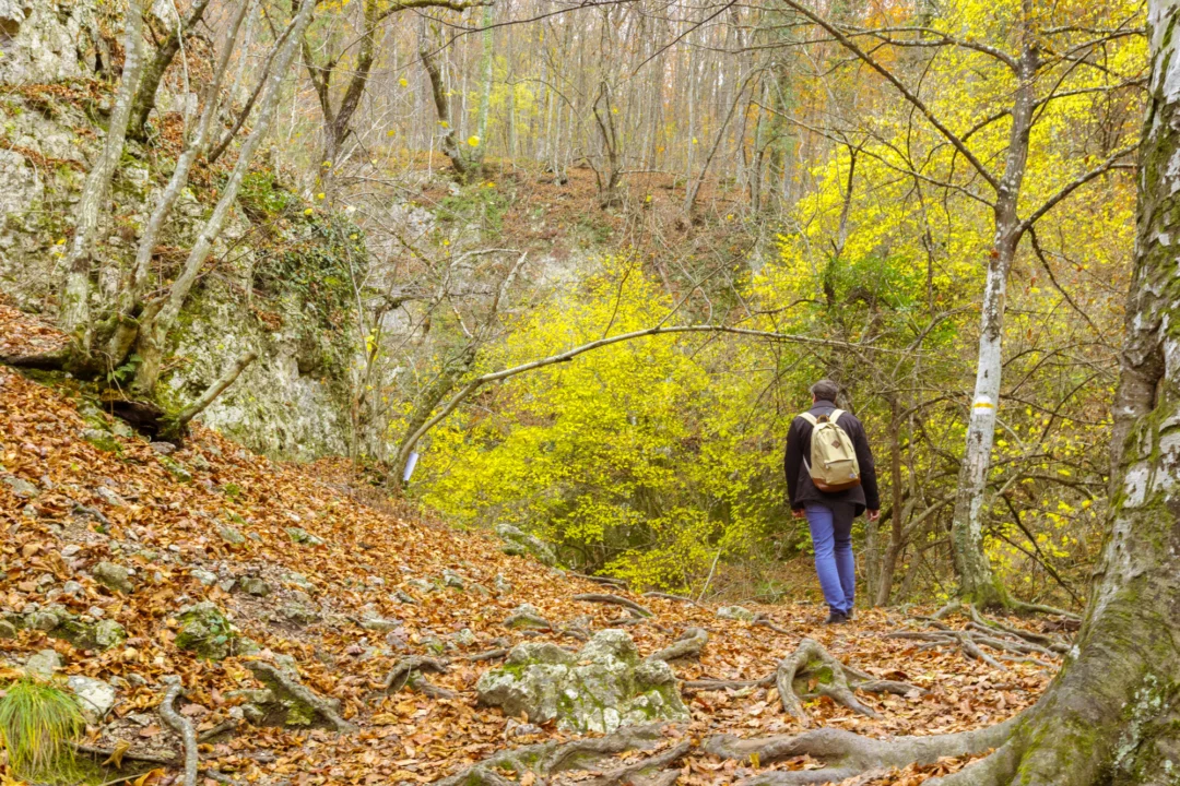 Góry i natura — Góry Tymfi Epirus Grecja