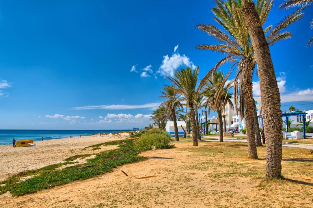 Góry i natura — Hammamet Tunezja