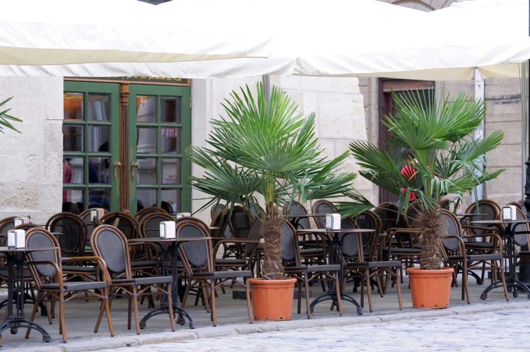 Góry i natura — Hammamet Tunezja