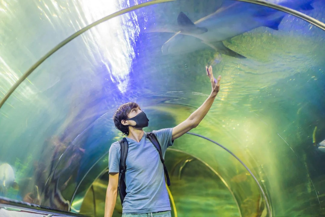 Góry i natura — Hydropolis Wrocław Polska