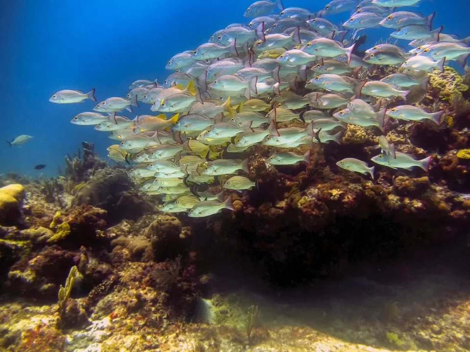 Atrakcje turystyczne — Isla Mujeres Riviera Maya Hiszpania