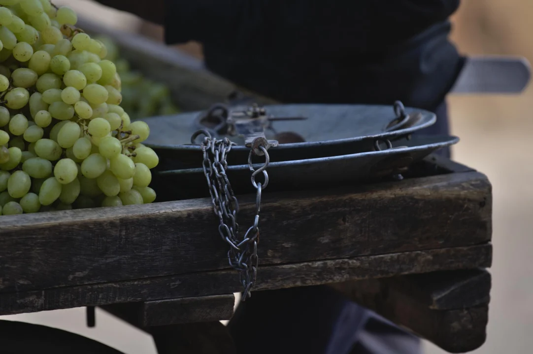 Góry i natura — Istria — trasa winna Istria Chorwacja