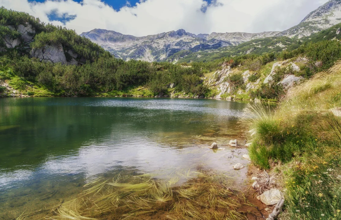 Plaża i wybrzeże — wakacje w Jeziorka w Divjakë Albania Centralna Albania