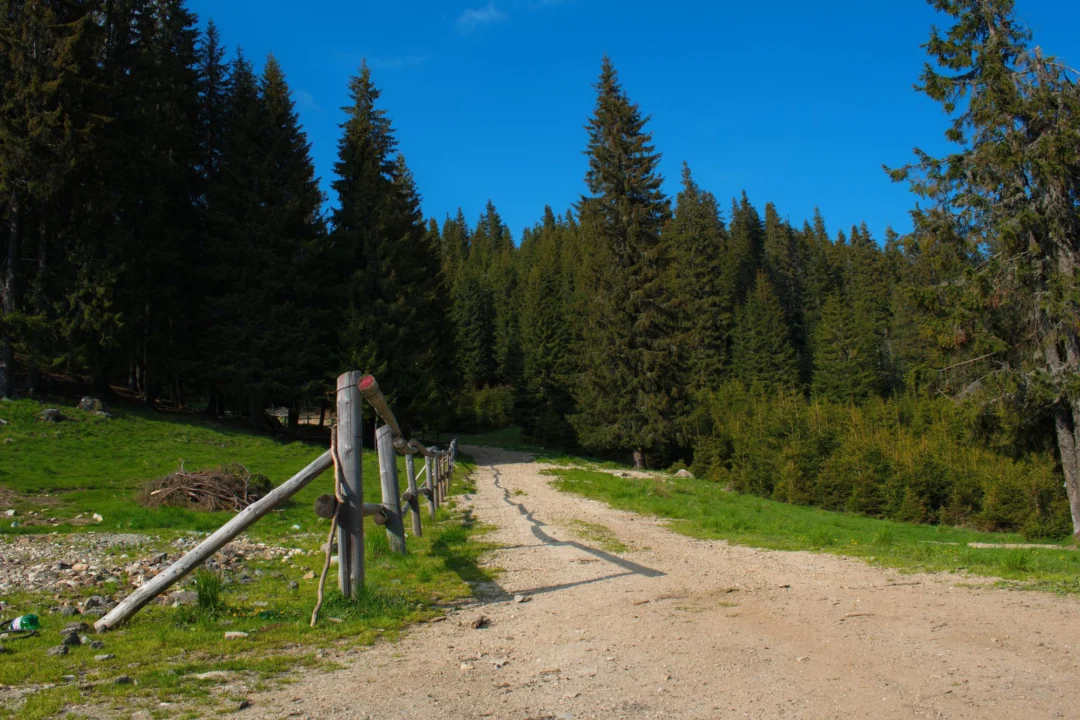Góry i natura — Jeziorko Černé Szumawy Czechy