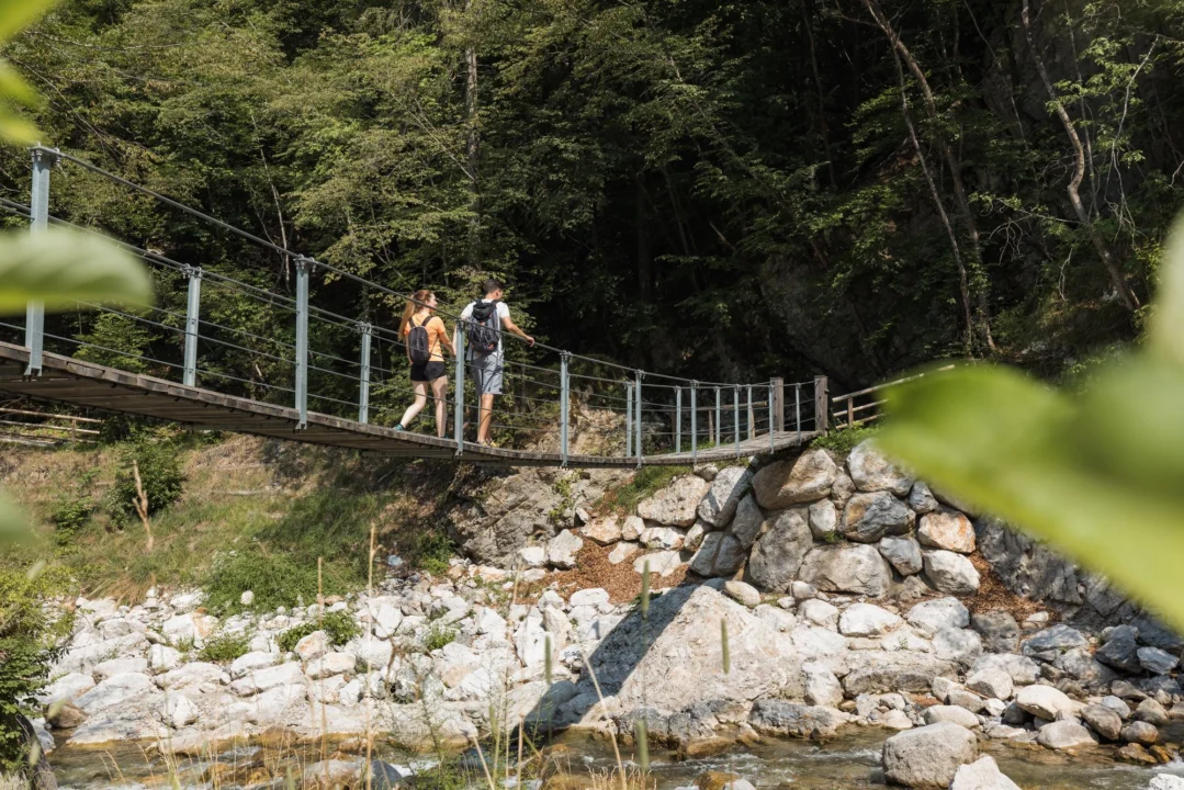Góry i natura — Jezioro Attersee Górna Austria Austria