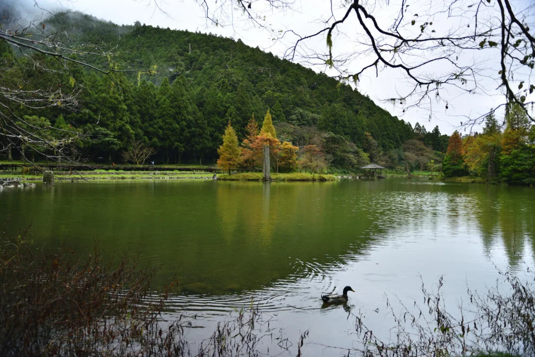 Atrakcje turystyczne — Jezioro Lipno Czechy Południowe Czechy
