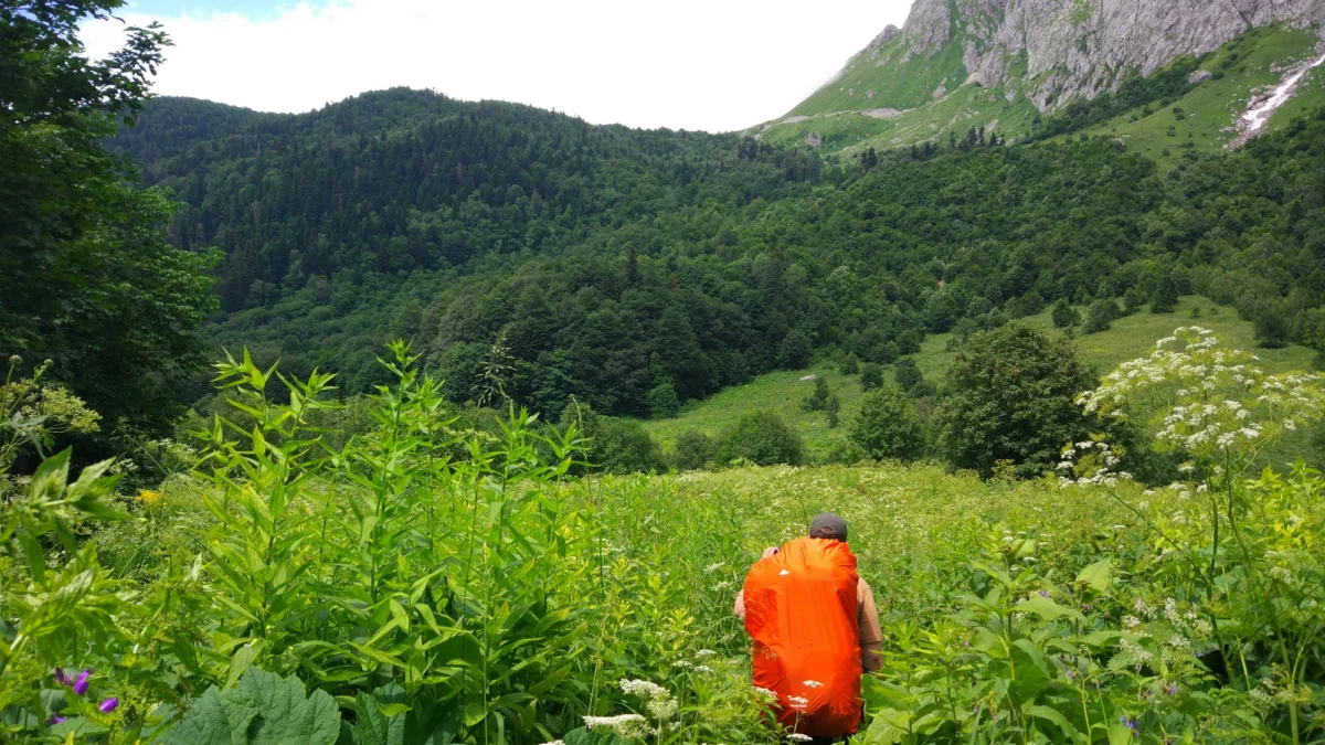 Góry i natura — Jura Krakowska Polska