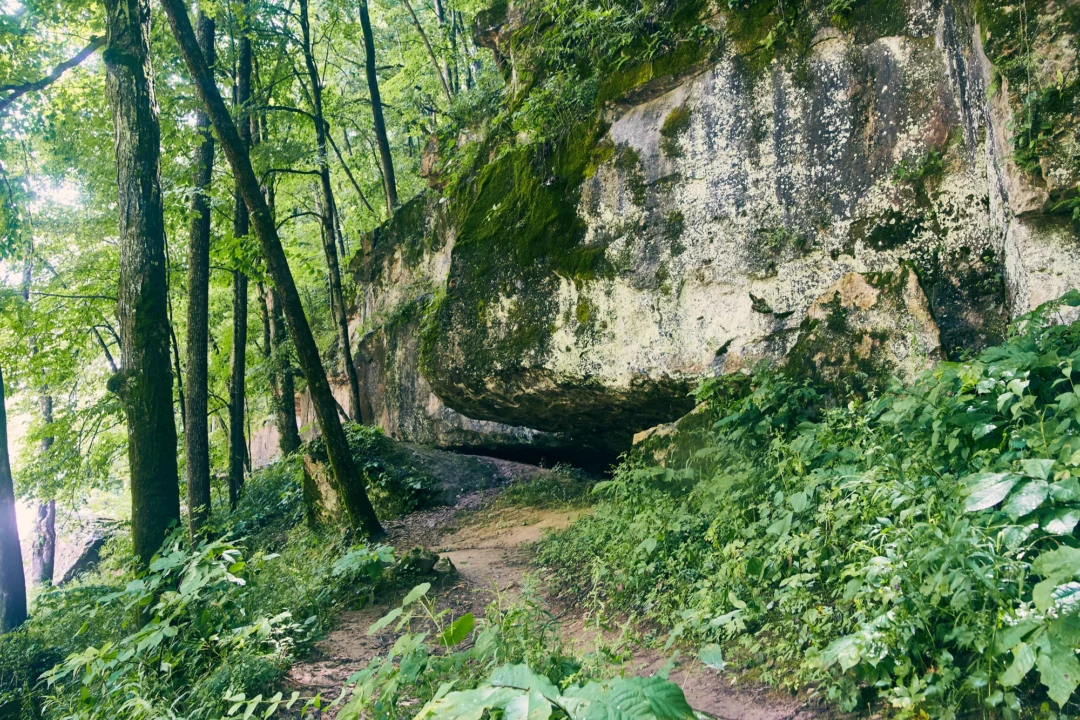 Kurort i widoki — Jura Krakowska Polska